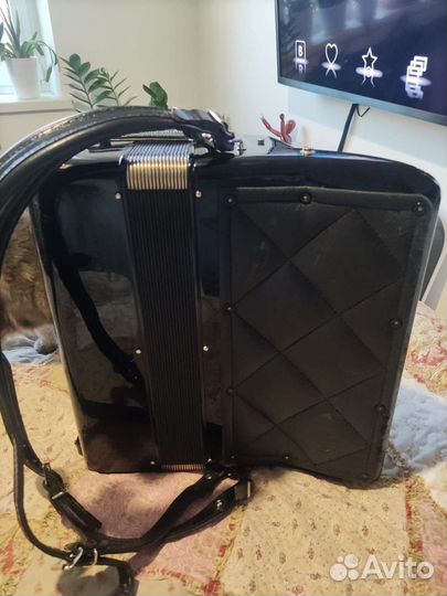 Баян Bugari, Италия, маленький и компактный