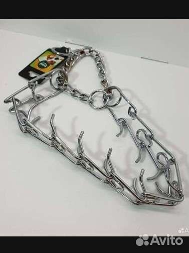 Строгий ошейник