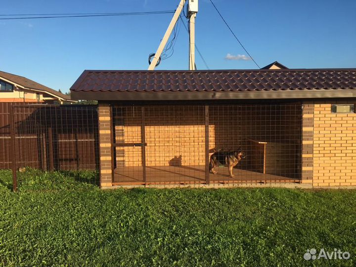 Передержка в вольере за городом