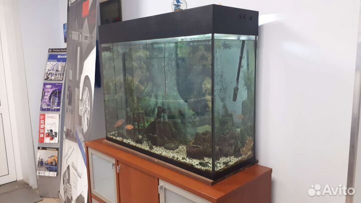 Аквариум