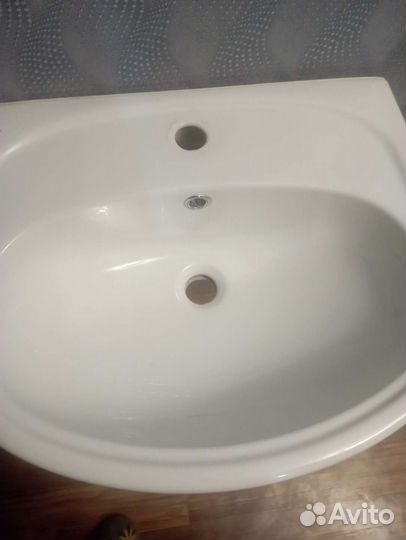 Раковина тюльпан