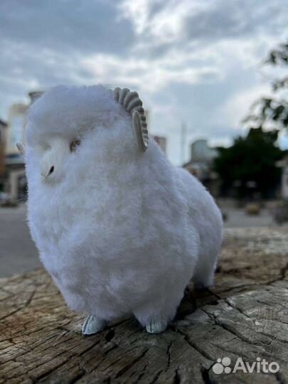 Барашки Сувениры Дагестан Статуэтки Оптовые Цены