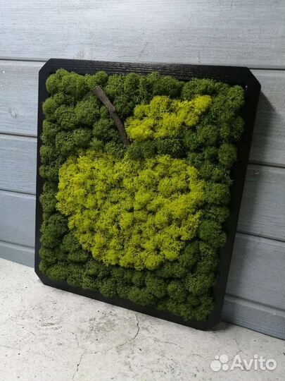 Картина/панно/мох