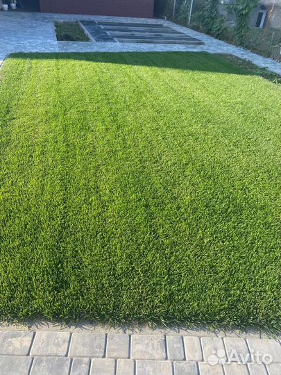 Рулонный газон под ключ