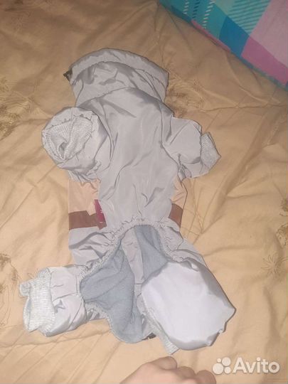 Одежда для собак