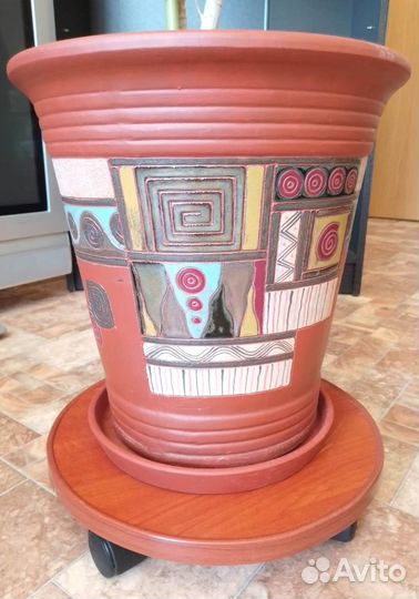 Большой комнатный цветок