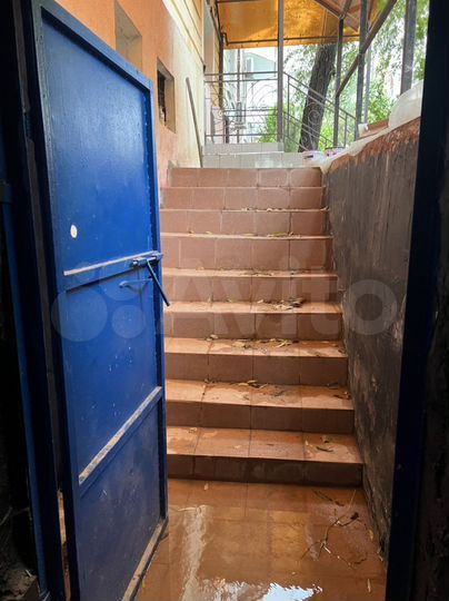 Свободного назначения, 255 м²