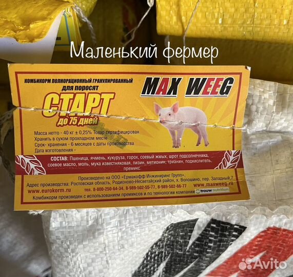 Старт для поросят