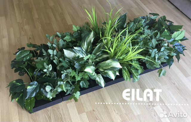 Растения и Цветы Фитомодули и Композиции