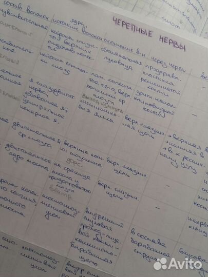 Написание конспектов