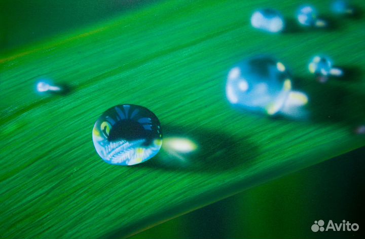 Аэрография, Роспись стен