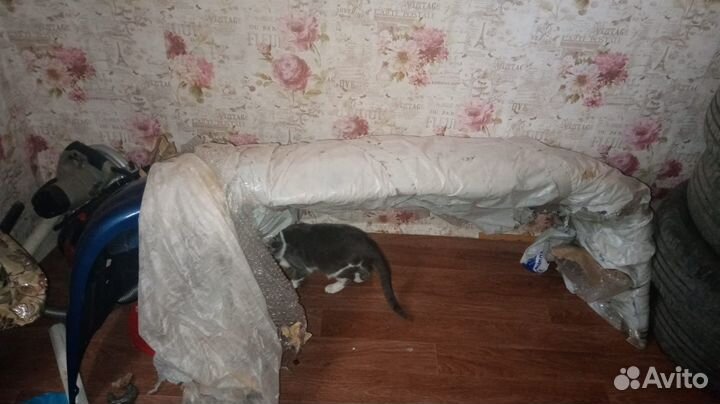 Бампер передний новый