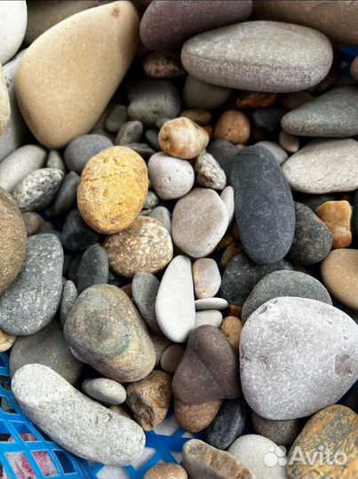 Морские камни