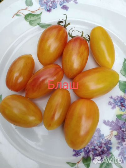 Томаты черри (50 сортов)