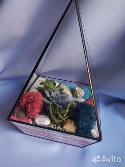 Флорариум с суккулентами