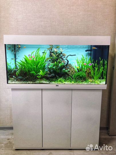 Обслуживание аквариумов