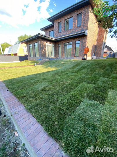 Рулонный газон с укладкой