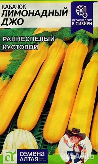 Рассада кабачков