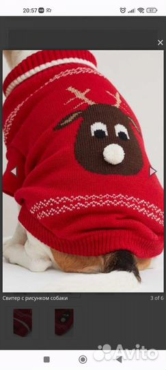 Свитер для собаки H&M