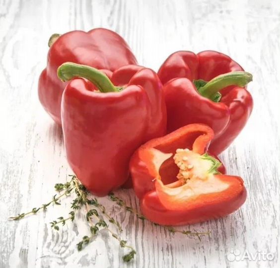 Семена сортового сладкого перца