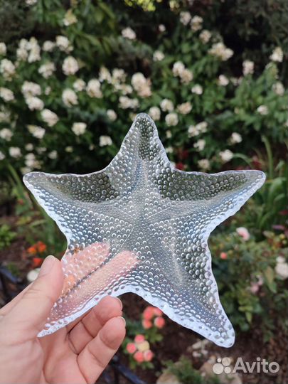 Тарелка блюдце блюдо морская звезда