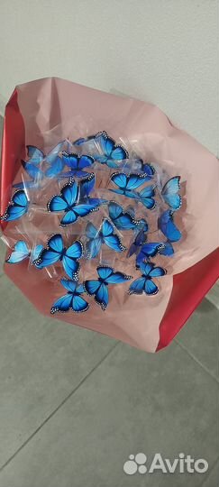 Букет из бабочек