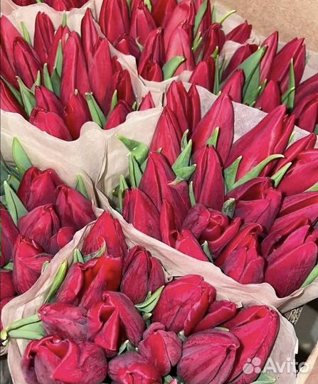 Тюльпаны на 8 марта / Подарок девушке