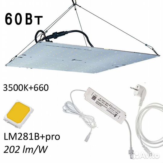 Quantum board 60w lm281b+pro 3500k