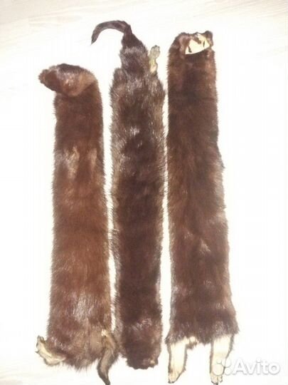 Шкурки норки