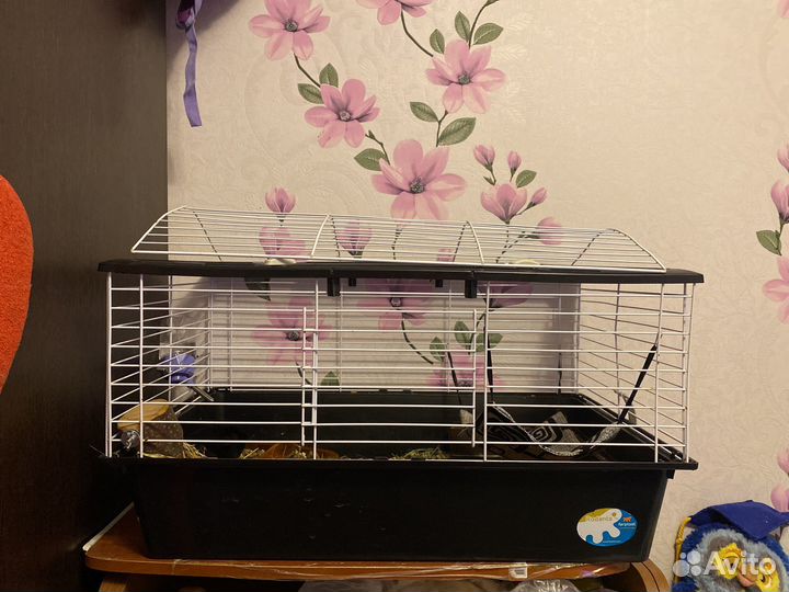 Клетка ferplast casita 80