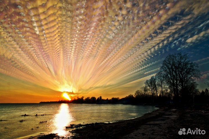 Финансы и учет