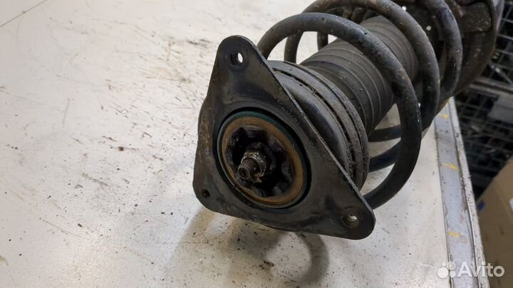 Амортизатор подвески Nissan Qashqai, 2017