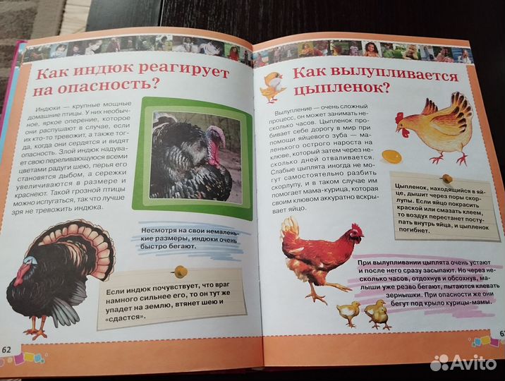 Энциклопедия для девочек