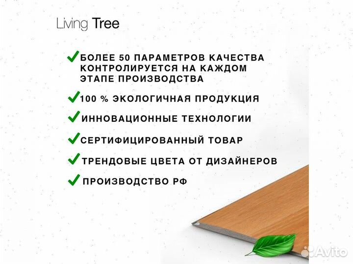 Дуб Дымчатый