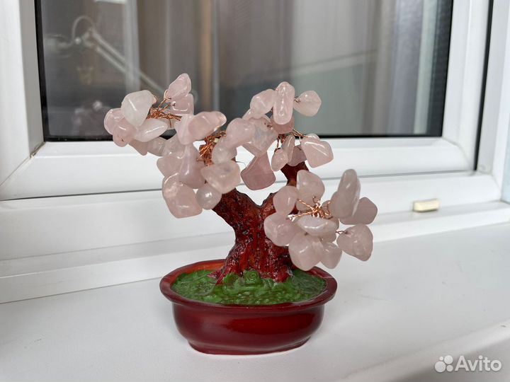 Бонсай каменное дерево фен-шуй