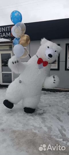 Поздравление от Кокоса