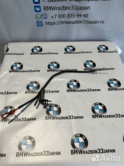 Масляный щуп Bmw F 20 хэтчбэк N13B16A 2012