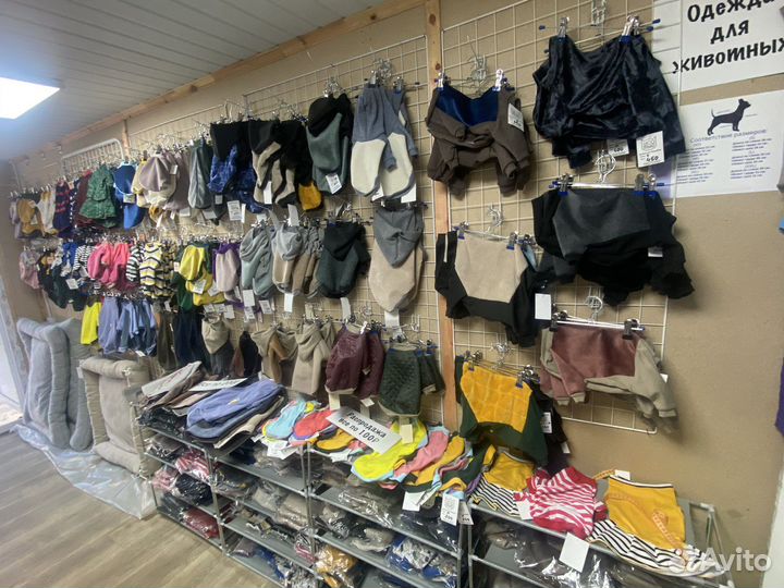 Одежда для животных