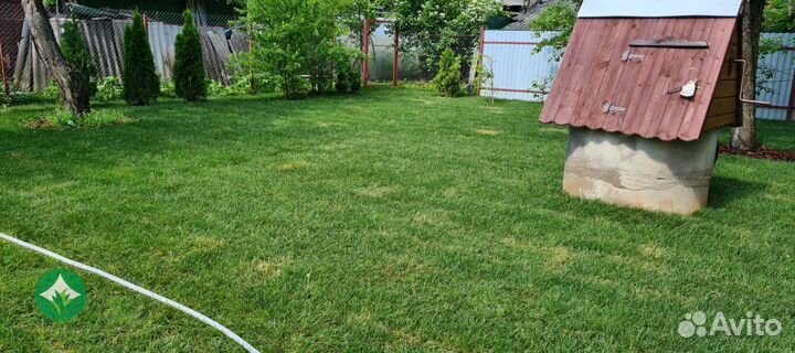 Рулонный газон