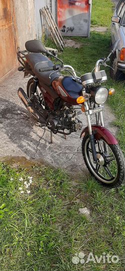 Альфа Рейсер