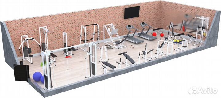 Профессиональные тренажеры arms