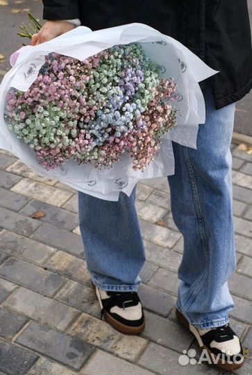 Гипсофила радужная