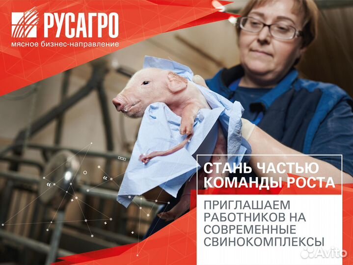 Оператор свиноводческого комплекса