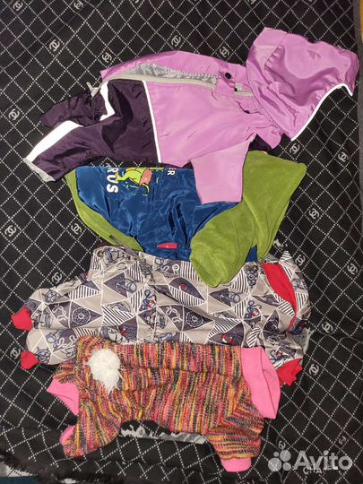 Одежда для маленьких собак m