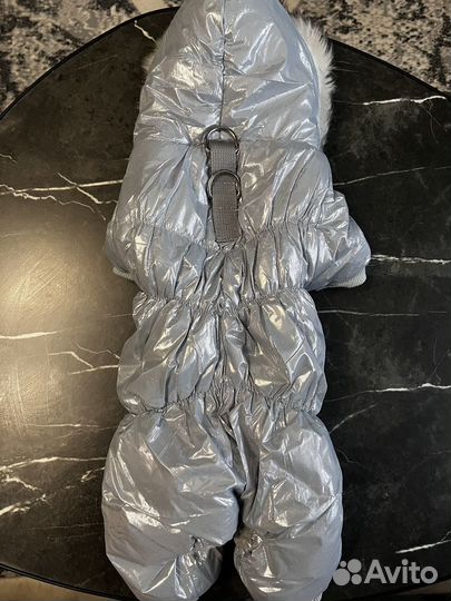 Зимний комбинезон для маленькой собачки