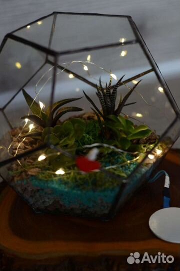 Флорариум Додекаэдр с подсветкой