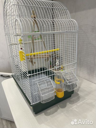 Клетка для попугая