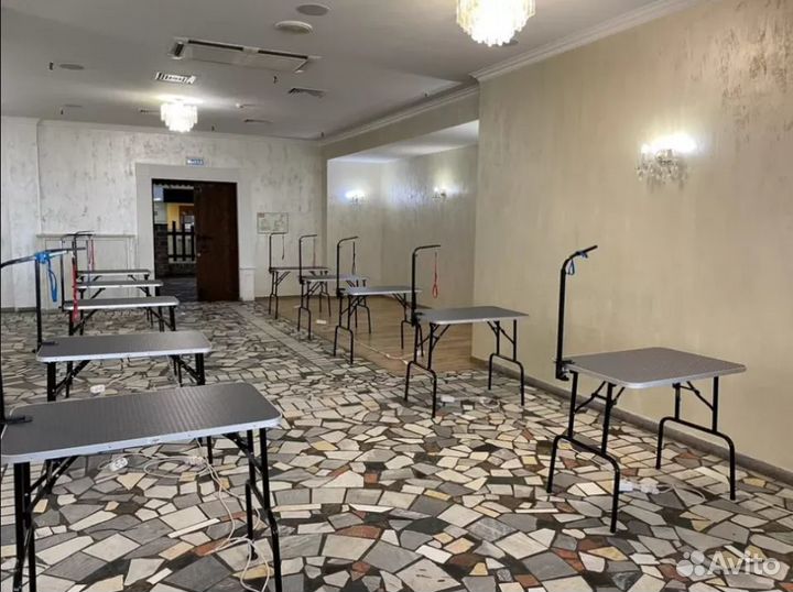 Стол для груминга 80х50см