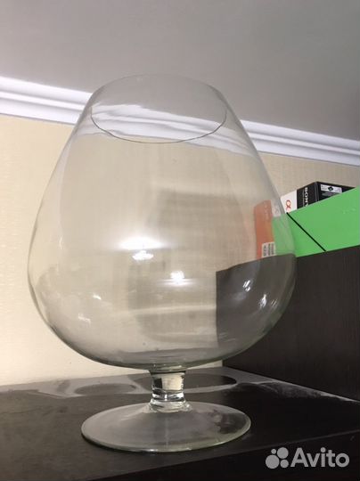 Аквариум рюмка