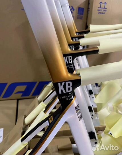 Giant Propel SL Kristian Blummenfelt Frame set